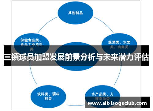 三镇球员加盟发展前景分析与未来潜力评估