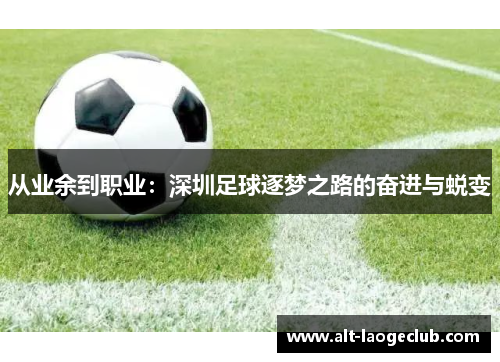 从业余到职业：深圳足球逐梦之路的奋进与蜕变