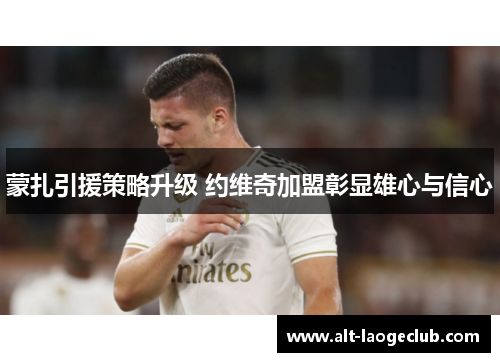 蒙扎引援策略升级 约维奇加盟彰显雄心与信心