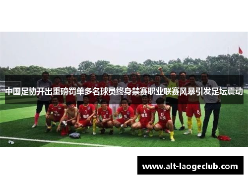 中国足协开出重磅罚单多名球员终身禁赛职业联赛风暴引发足坛震动 中国足协开出重磅罚单多名球员终身禁赛职业联赛风暴引发足坛震动